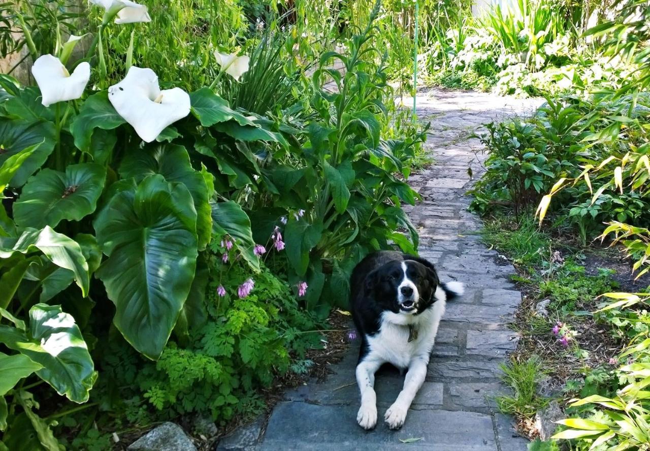 Willa The Shire House Lostwithiel Zewnętrze zdjęcie